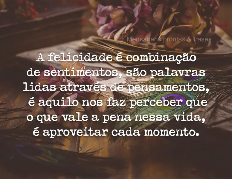 A felicidade é a combinação de sentimentos, são palavras lidas através de pensamentos, é aquilo que nos faz perceber que o que vale a pena nessa vi...