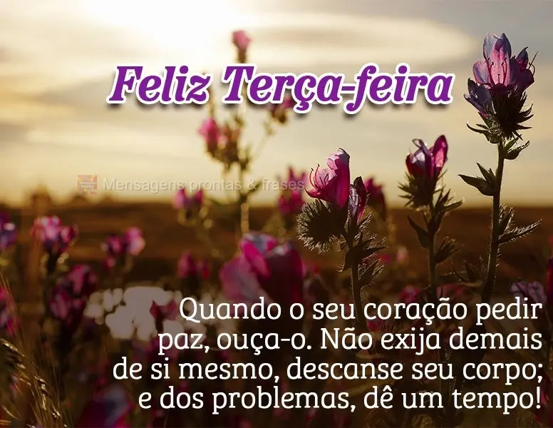 Quando o seu coração pedir paz, ouça-o. Não exija demais de si mesmo, descanse seu corpo; e dos problemas, dê um tempo!  Feliz Terça-feira!