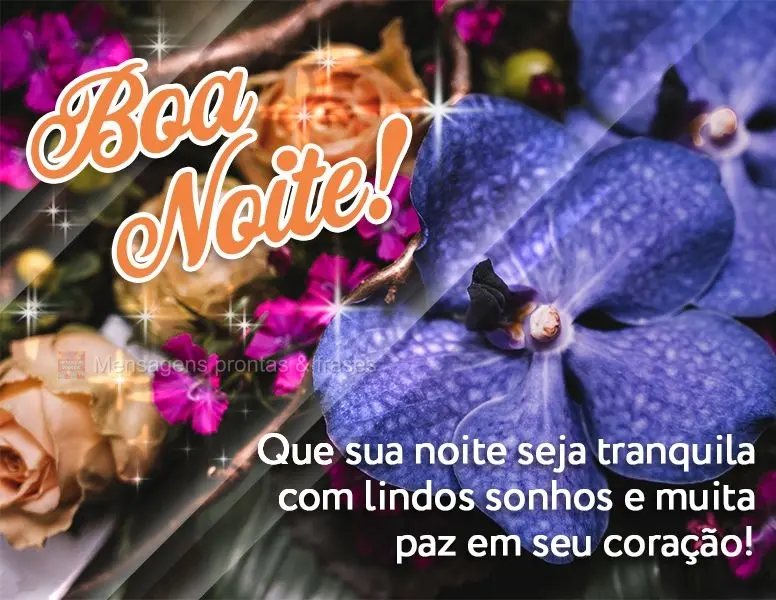 Que sua noite seja tranquila com lindos sonhos e muita paz em seu coração! Boa noite!