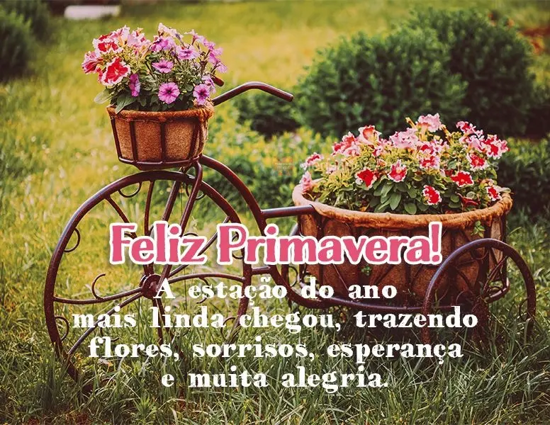 A estação do ano mais linda chegou trazendo flores, sorrisos, esperança e muita alegria. Feliz Primavera!