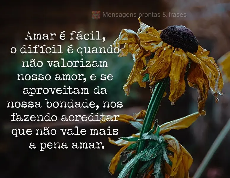 Amar é fácil, o difícil é quando não valorizam nosso amor e se aproveitam da nossa bondade, nos fazendo acreditar que não vale mais a pena amar.