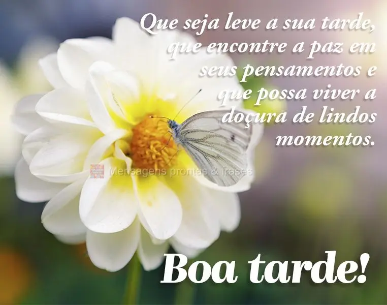 Que seja leve a sua tarde, que encontre a paz em seus pensamentos e que possa viver a doçura de lindos momentos. Boa tarde!