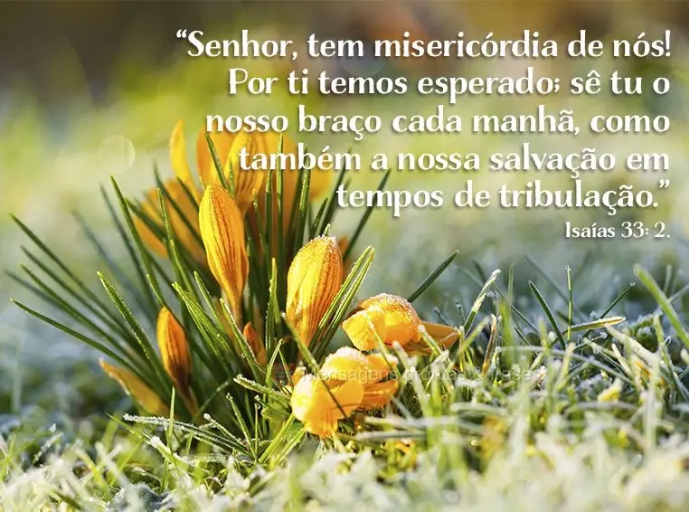 “Senhor, tem misericórdia de nós! Por ti temos esperado; sê tu o nosso braço cada manhã, como também a nossa salvação em tempos de tribulação...