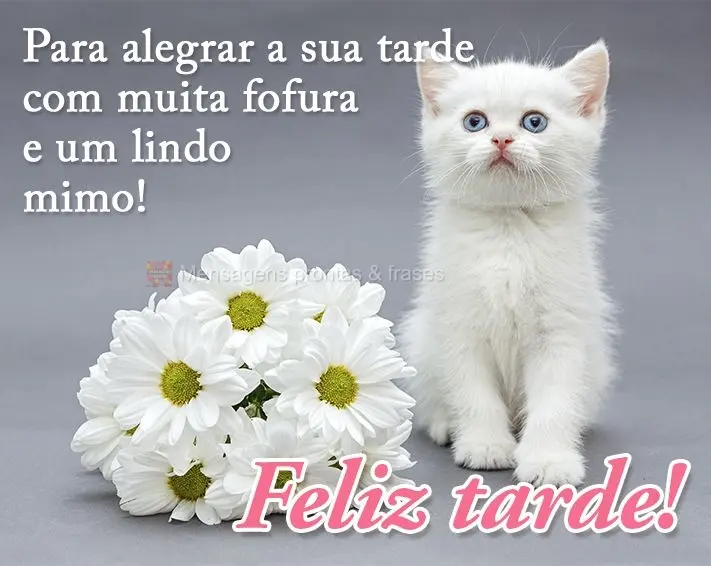 Para alegrar a sua tarde com muita fofura e um lindo mimo! Feliz tarde!