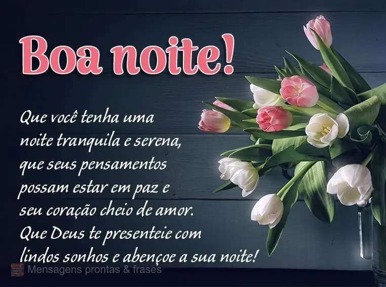 Que você tenha uma noite tranquila e serena, que seus pensamentos possam estar em paz e seu coração cheio de amor. Que Deus te presenteie com lindos s...