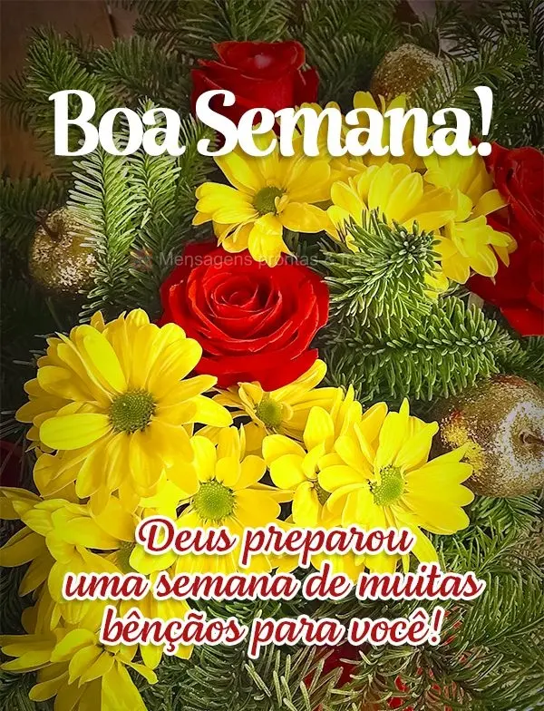 Deus preparou uma semana de muitas bênçãos para você! Boa Semana!