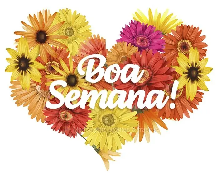 Boa Semana!