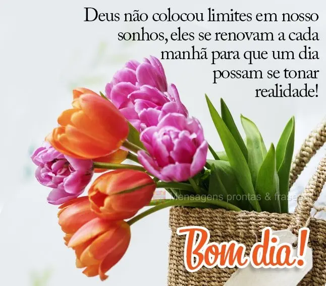 Deus não colocou limites em nossos sonhos, eles se renovam a cada manhã para que um dia possam se tornar realidade! Bom dia!