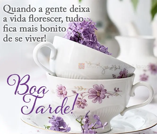 Quando a gente deixa a vida florescer, tudo fica mais bonito de se viver! Boa tarde!