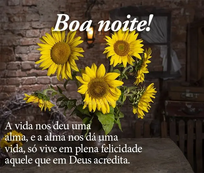 A vida nos deu uma alma, e a alma nos dá uma vida. Só vive em plena felicidade aquele que em Deus acredita. Boa noite!