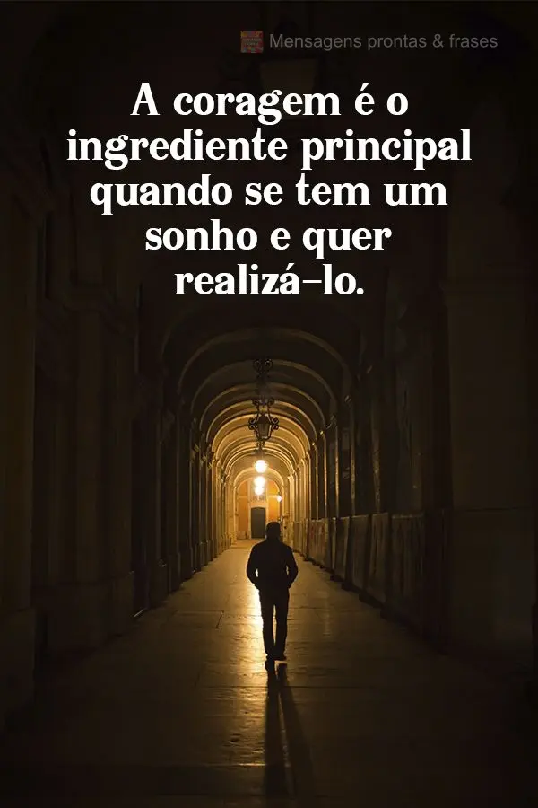 A coragem é o ingrediente principal quando se tem um sonho e quer realizá-lo.