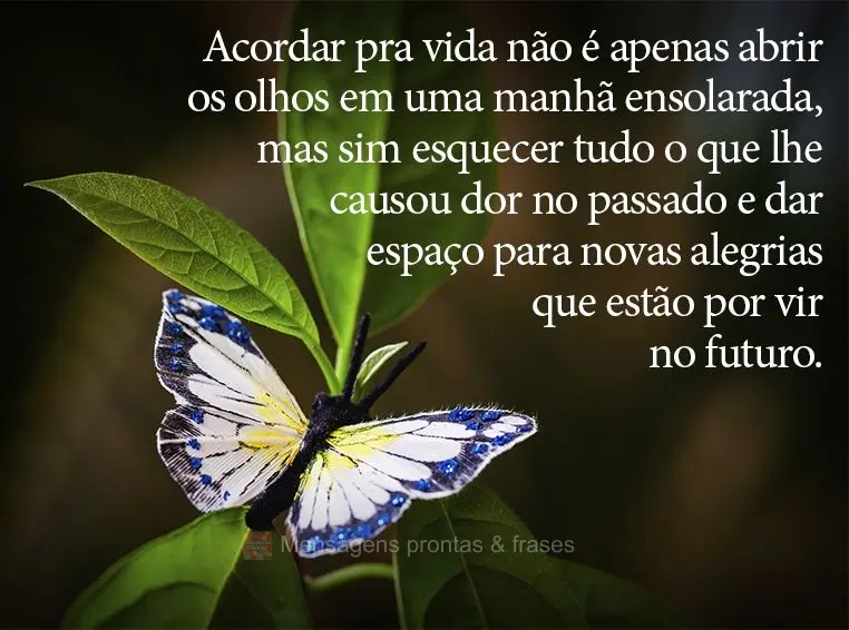 Acordar pra vida não é apenas abrir os olhos em uma manhã ensolarada, mas sim esquecer tudo o que lhe causou dor no passado e dar espaço para novas a...