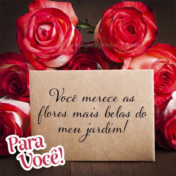 Você merece as flores mais belas do meu jardim! Para você!