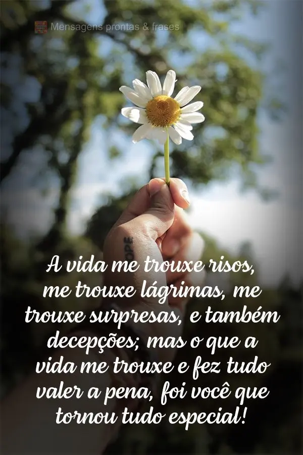 A vida me trouxe risos, me trouxe lágrimas, me trouxe surpresas e também decepções. Mas o que a vida me trouxe, e fez tudo valer a pena, foi você, q...