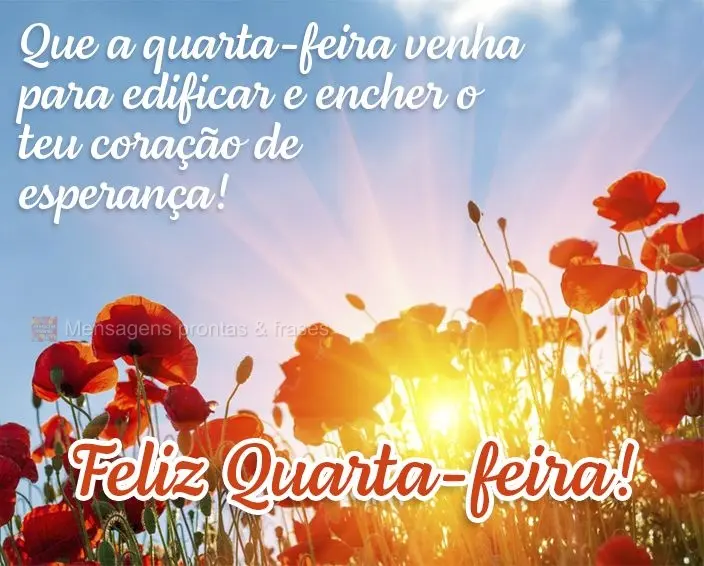 Que a quarta-feira venha para edificar e encher o teu coração de esperança! Feliz Quarta-feira!