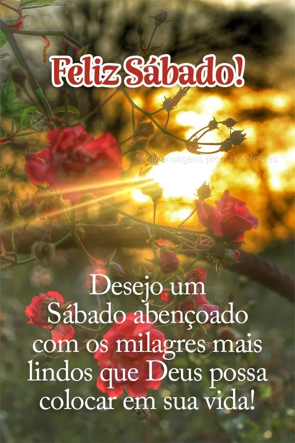 Desejo um Sábado abençoado com os milagres mais lindos que Deus possa colocar em sua vida!  Feliz Sábado!