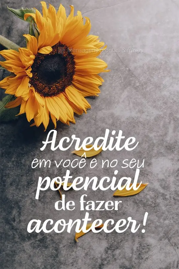 Acredite em você e no seu potencial de fazer acontecer!