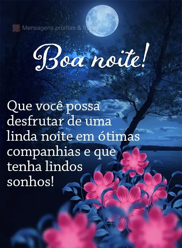 Que você possa desfrutar de uma linda noite em ótimas companhias e que tenha lindos sonhos! Boa noite!