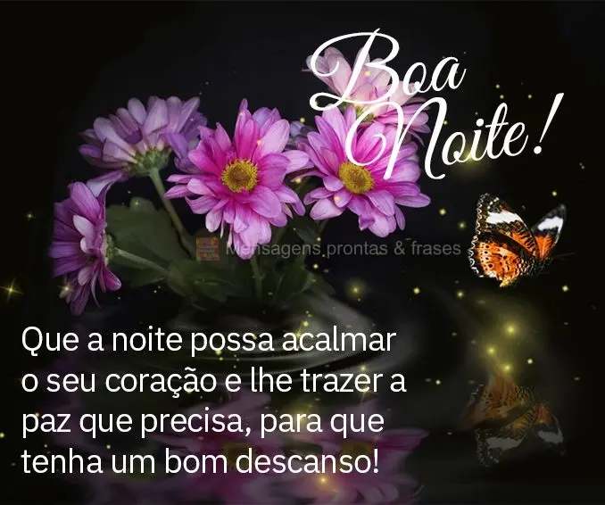 Que a noite possa acalmar o seu coração e lhe trazer a paz que precisa para que tenha um bom descanso! Boa noite!