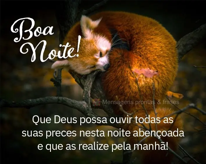 Que Deus possa ouvir todas as suas preces nesta noite abençoada e que as realize pela manhã! Boa noite!