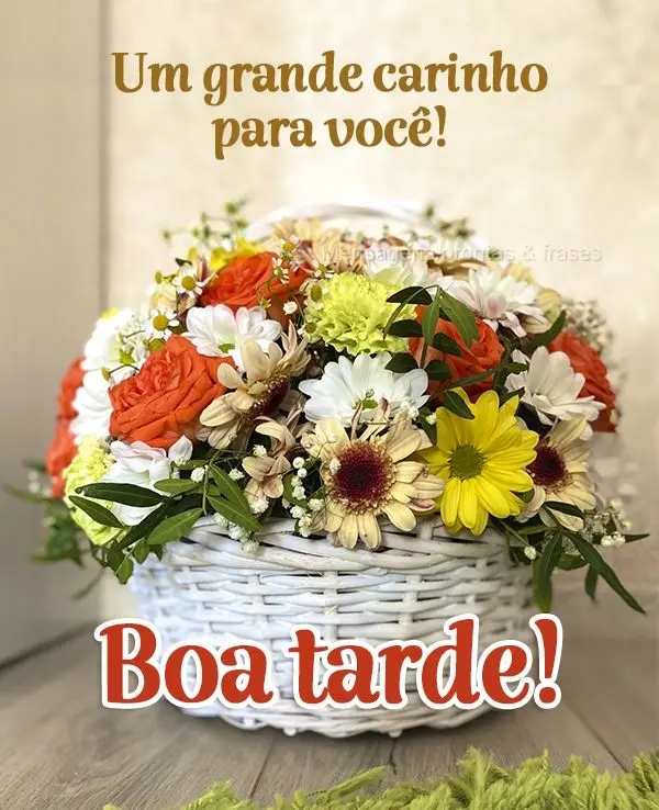 Um grande carinho para você! Boa tarde!