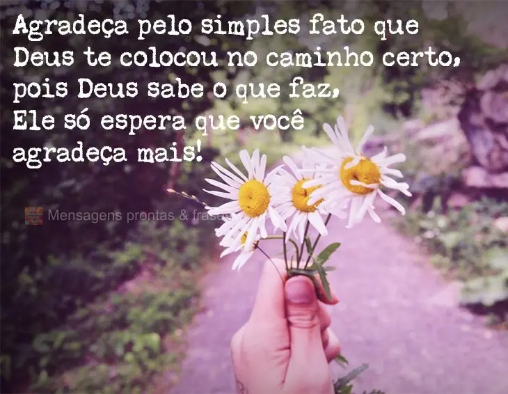 Agradeça pelo simples fato de que Deus te colocou no caminho certo, pois Deus sabe o que faz, Ele só espera que você agradeça mais!