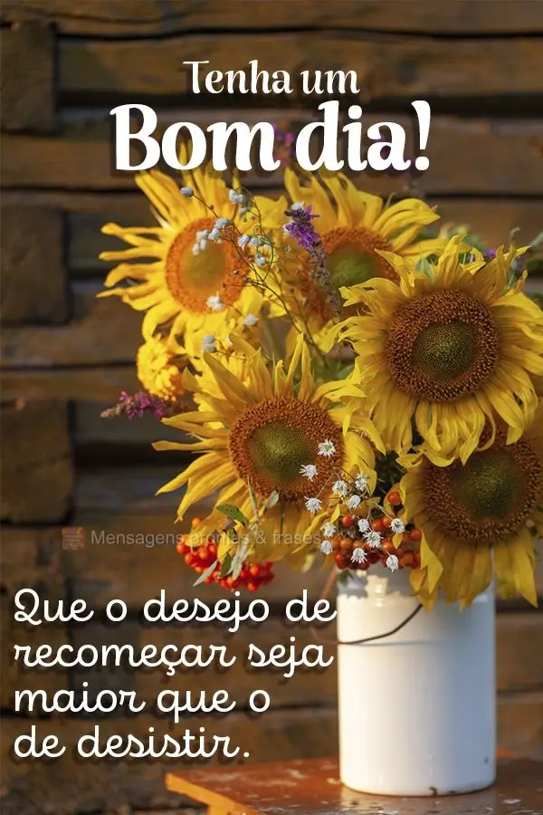 Que o desejo de recomeçar seja maior que o de desistir. Tenha um Bom dia!