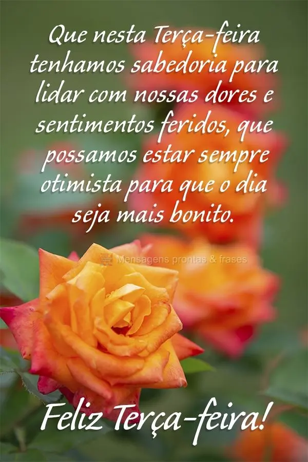 Que nesta Terça-feira tenhamos sabedoria para lidar com nossas dores e sentimentos feridos, que possamos estar sempre otimista para que o dia seja mais ...