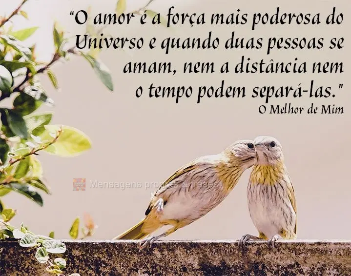 Frases (Mais compartilhados) | Mensagens prontas & Frases