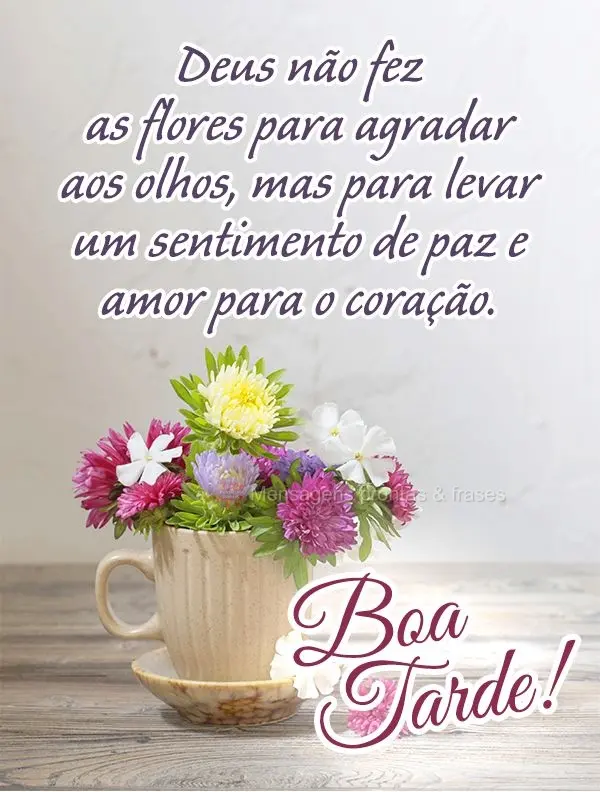 Deus não fez as flores para agradar aos olhos, mas para levar um sentimento de paz e amor para o coração. Boa tarde!