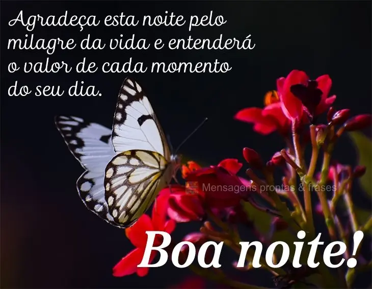 Agradeça esta noite pelo milagre da vida e entenderá o valor de cada momento do seu dia. Boa noite! 