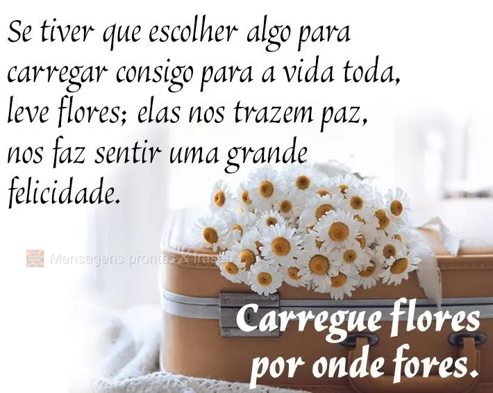 Se tiver que escolher algo para carregar consigo para a vida toda, leve flores; elas nos trazem paz, nos faz sentir uma grande felicidade. Carregue flore...