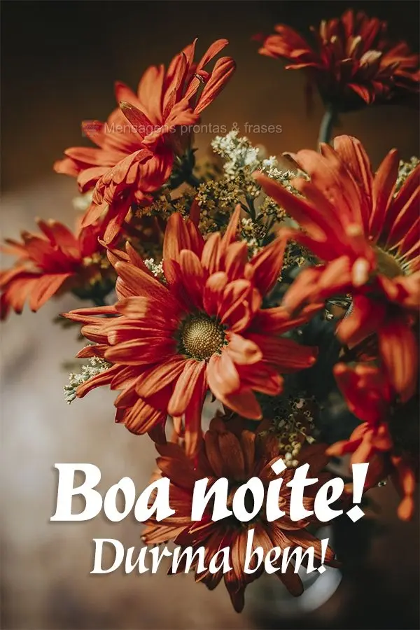 Boa noite! Durma bem!