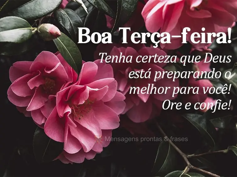 Tenha certeza que Deus está preparando o melhor para você! Ore e confie! Boa Terça-feira!