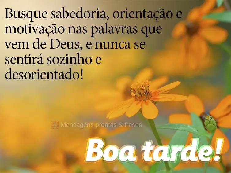 Busque sabedoria, orientação e motivação nas palavras que vem de Deus, e nunca se sentirá sozinho e desorientado! Boa tarde!