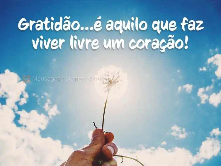 Gratidão...é aquilo que faz viver livre um coração!