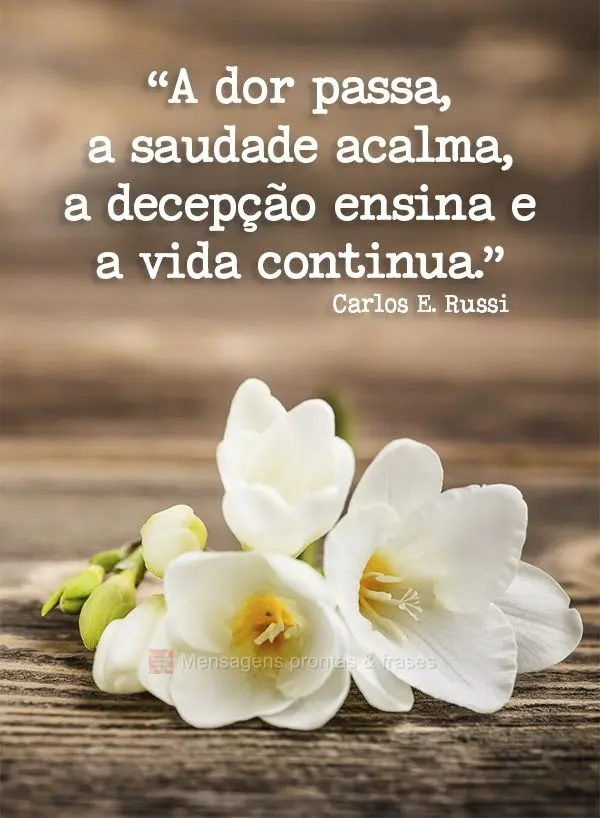 “A dor passa, a saudade acalma, a decepção ensina e a vida continua.” Carlos Eduardo Russi