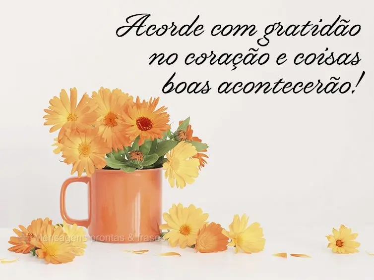 Acorde com gratidão no coração e coisas boas acontecerão!