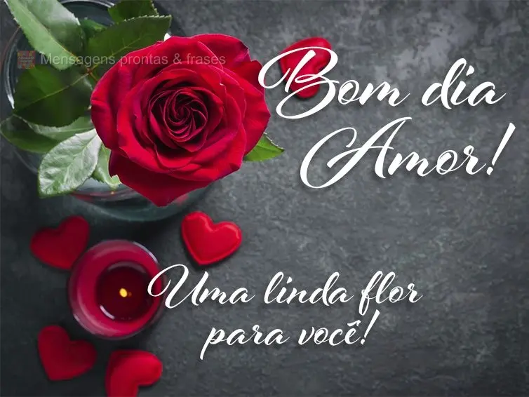 Uma linda flor para você! Bom dia amor! 