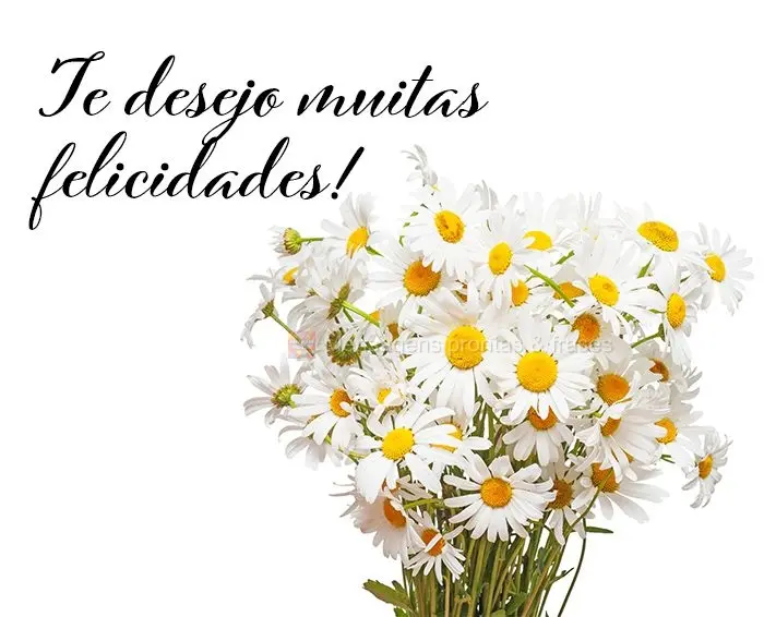 Te desejo muitas felicidades!