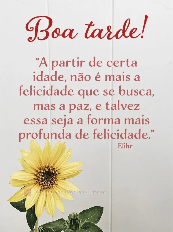 “A partir de certa idade, não é mais a felicidade que se busca, mas a paz, e talvez essa seja a forma mais profunda de felicidade.” Boa tarde! Elih...