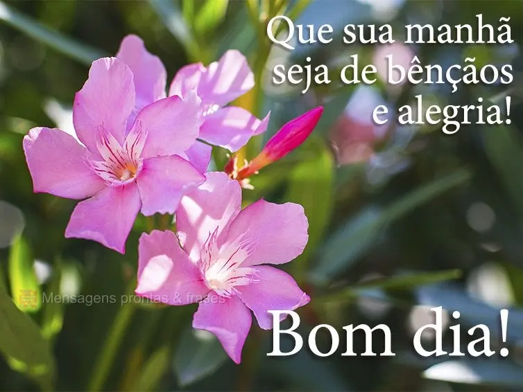 Que sua manhã seja de bênçãos e alegria! Bom dia!