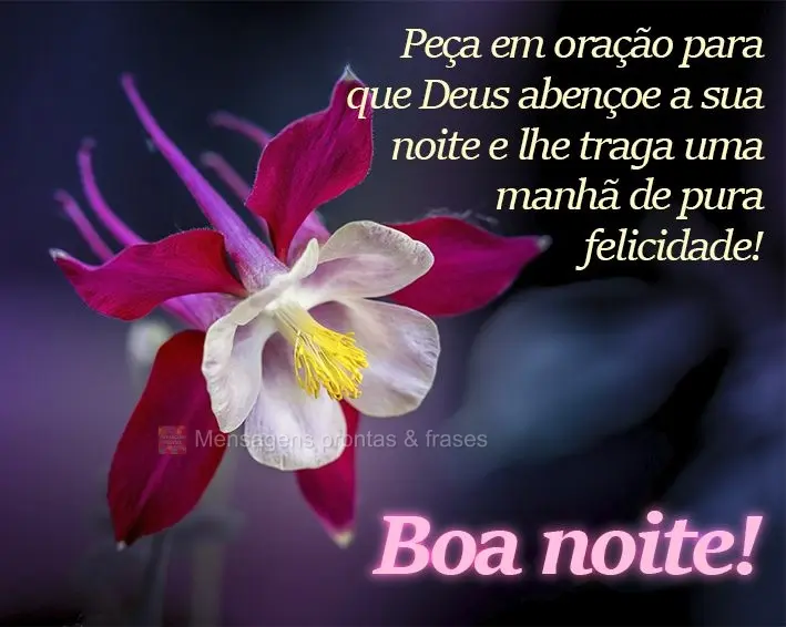 Peça em oração para que Deus abençoe a sua noite e lhe traga uma manhã de pura felicidade! Boa noite!