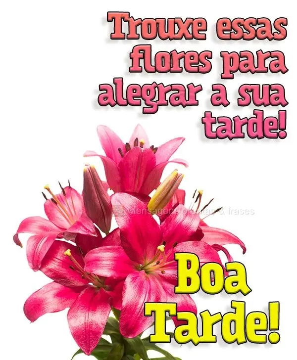 Trouxe essas flores para alegrar a sua tarde! Boa tarde!