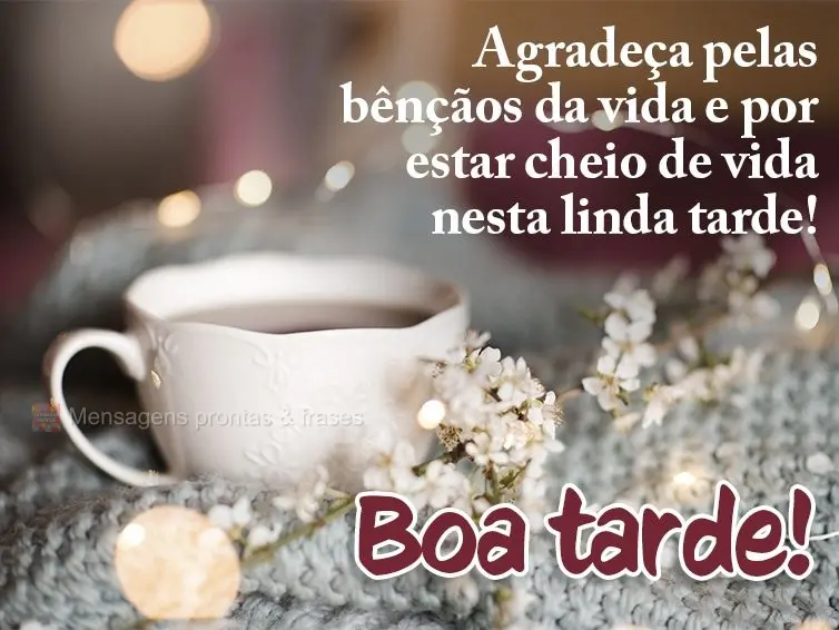 Agradeça pelas bênçãos da vida e por estar cheio de vida nesta linda tarde! Boa tarde! 