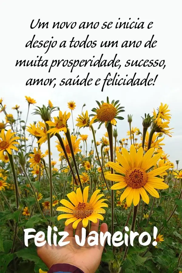 Um novo ano se inicia e desejo a todos um ano de muita prosperidade, sucesso, amor, saúde e felicidade! Feliz Janeiro!