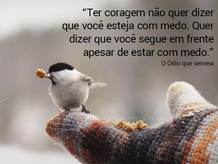 “Ter coragem não quer dizer que você esteja com medo. Quer dizer que você segue em frente apesar de estar com medo.” O Ódio que semeia