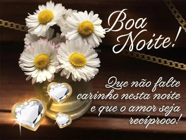 Que não falte carinho nesta noite e que o amor seja recíproco! Boa noite!