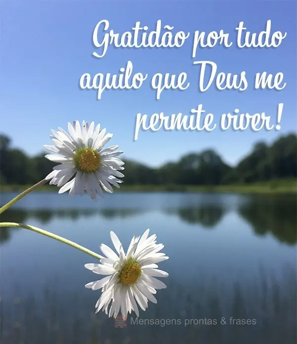 Gratidão por tudo aquilo que Deus me permite viver!