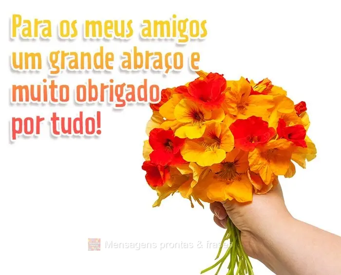 Para os meus amigos um grande abraço e muito obrigado por tudo!